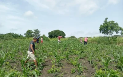 Planeta Rural